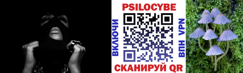 купить   Билибино  Псилоцибиновые грибы Psilocybine cubensis 